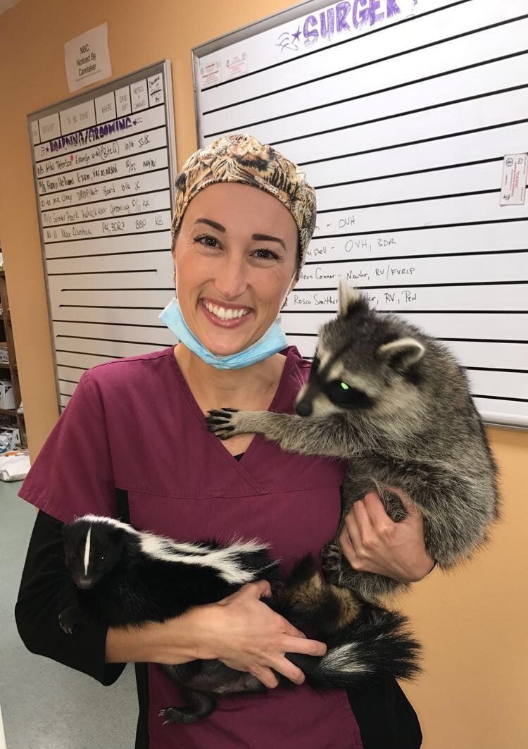 Photo Gallery Wedington Animal Hospital